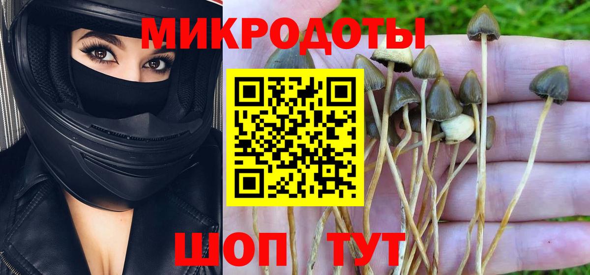 Псилоцибиновые грибы ЛСД  Вход с VPN  Галлюциногенные грибы мицелий  Новочеркасск 